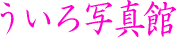 ������ʐ^��