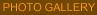 �������̎ʐ^��