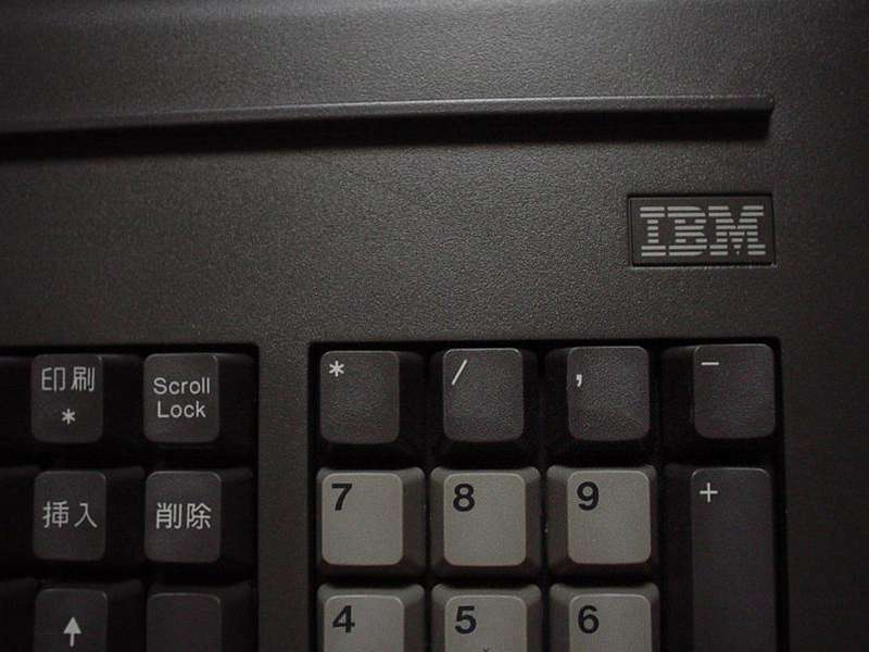 IBM_JX_2.JPG - 65,612BYTES