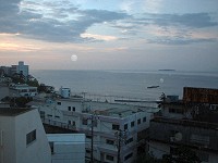 �����̑�����̌i�F