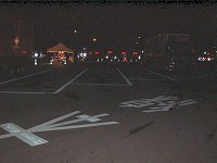 �C�V���̃p�[�L���O�Ō���