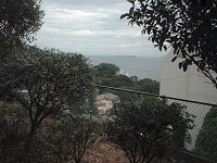 ��4:30�̕��i