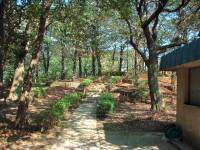 ���c������