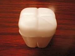 �q���p�P�[�X