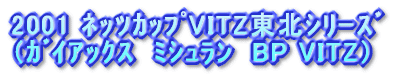 2001 ȯ¶���VITZ���k�ذ�� �i�޲�����@м��݁@BP VITZ�j 
