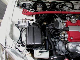 CeRGANP