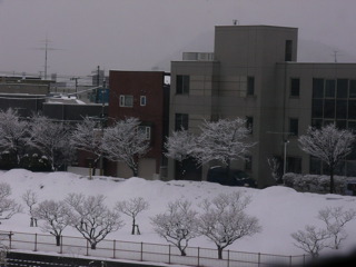 P1020755
