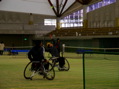 SANY0036.jpg