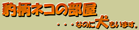 豹柄ネコの部屋・・・なのに犬もいます。