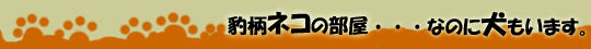 �^���l�R�̕����E�E�E�Ȃ̂Ɍ������܂��B