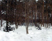 �E������