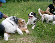 �I�h���ꃊ�b�N