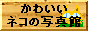 ���킢���l�R�̎ʐ^��