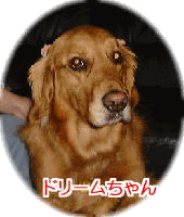 �h���[��