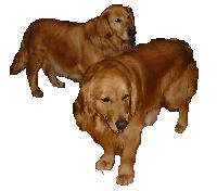 �{�X���i�i