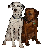 �I�[�f�B���u�����f�B