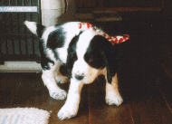 �G���N��������