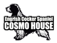COSMO HOUSE