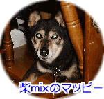 ���Ă������̃}�b�s�[�N