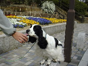 �r�[��������