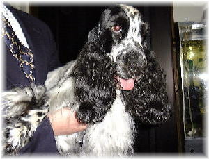 �A���b�N�X��