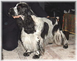 �A���b�N�X