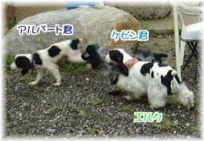 �P�r���E�A���o�[�g�E�G���N