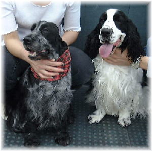 ���[�V�[�ƃG���N