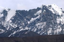 IMG_1042-1.jpg