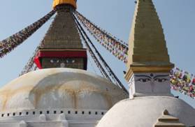 IMG_8524-1.jpg
