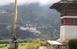 IMG_7168.JPG