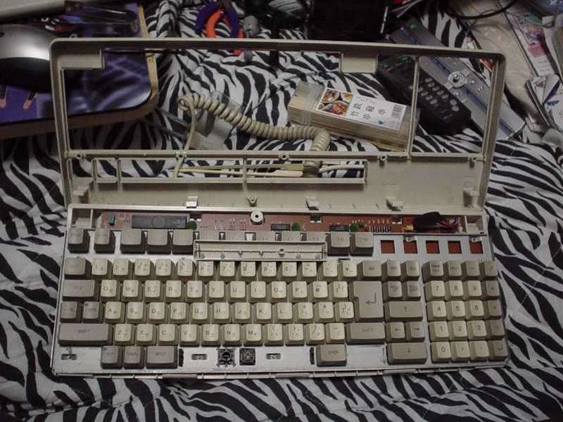 EPSON_10.JPG - 72,080BYTES