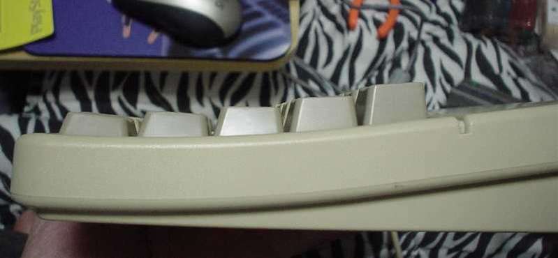 EPSON_19.JPG - 22,384BYTES