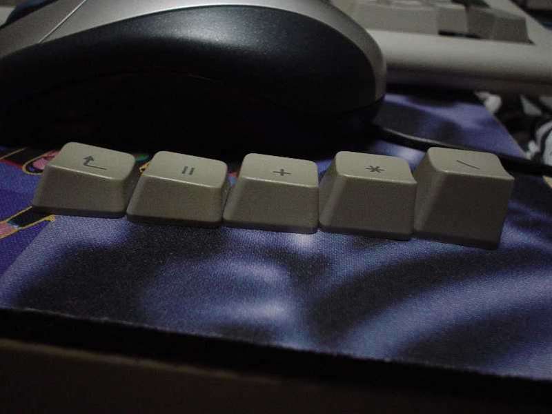 EPSON_20.JPG - 30,932BYTES