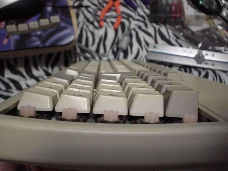EPSON_21.JPG - 35,796BYTES