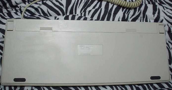 EPSON_3.JPG - 23,713BYTES