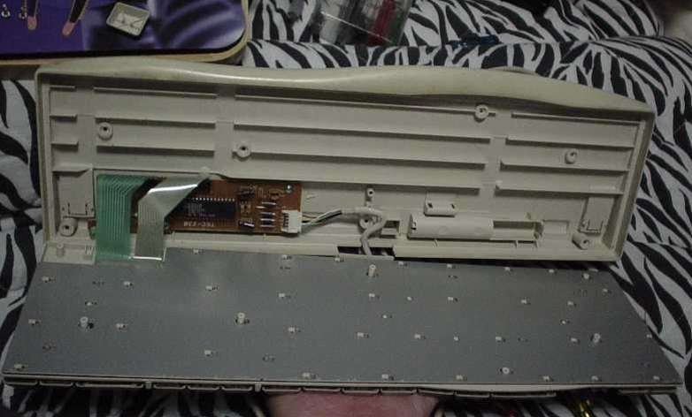 AKIA_9.JPG - 37,406BYTES