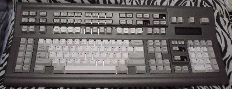 P1.JPG - 29,817BYTES
