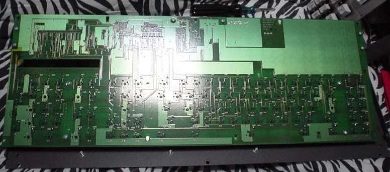 P10.JPG - 38,879BYTES