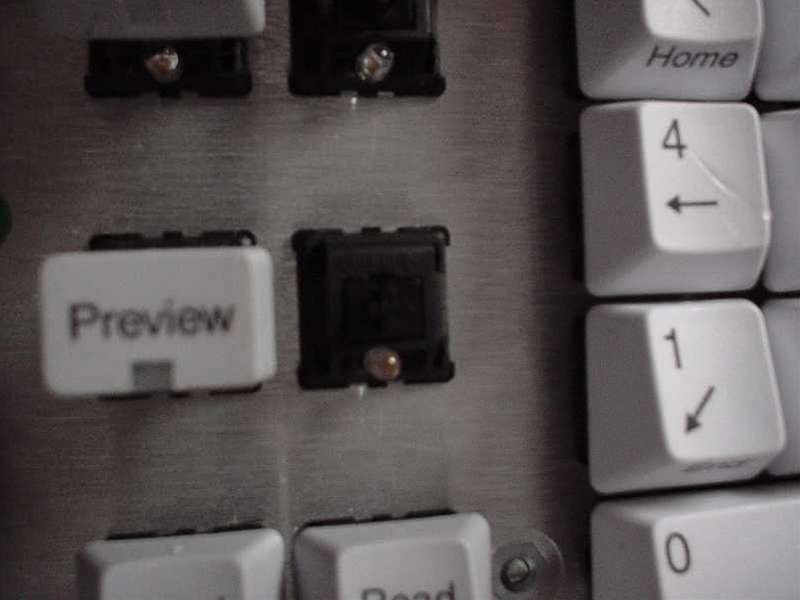 P14.JPG - 26,256BYTES