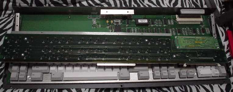 P8.JPG - 33,402BYTES