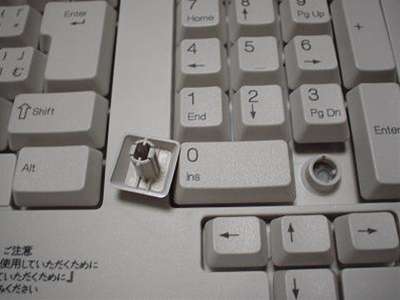 PK10.JPG - 16,965BYTES