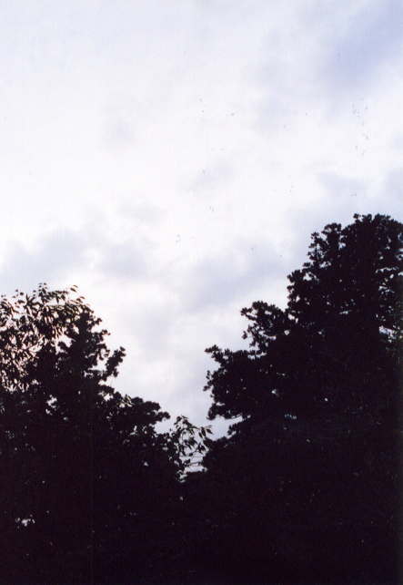 �V�C�͎������������E�E�E