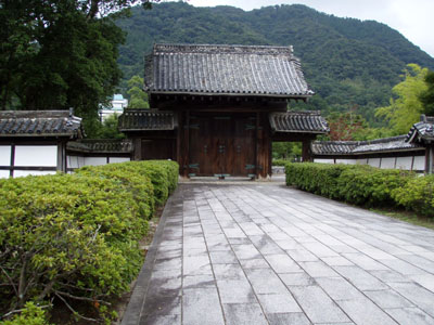 ���R���˒���