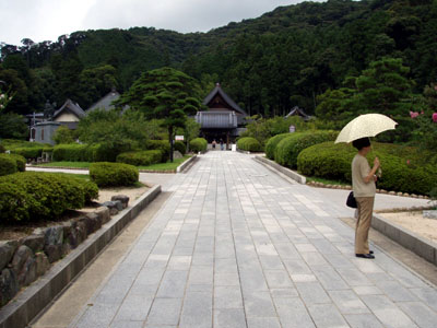 �ڗ�����