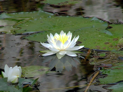 �ڗ����� �����r