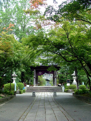 ���_�R �������i����ِՁj