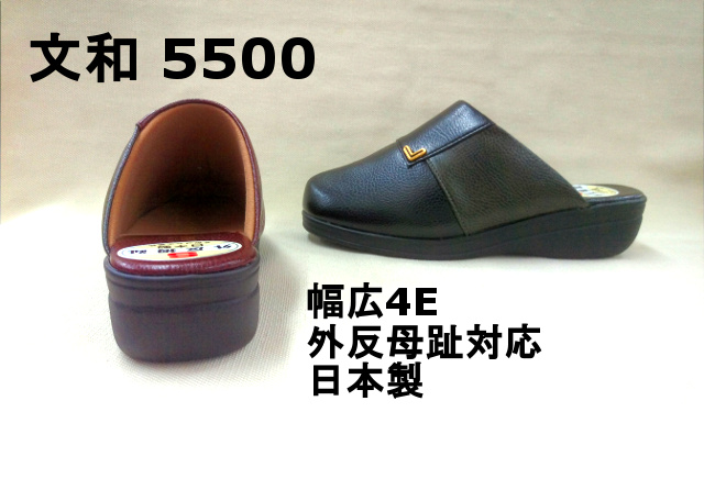 文和 5500