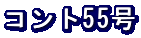 Rg55
