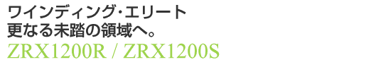 ZRX1200-text